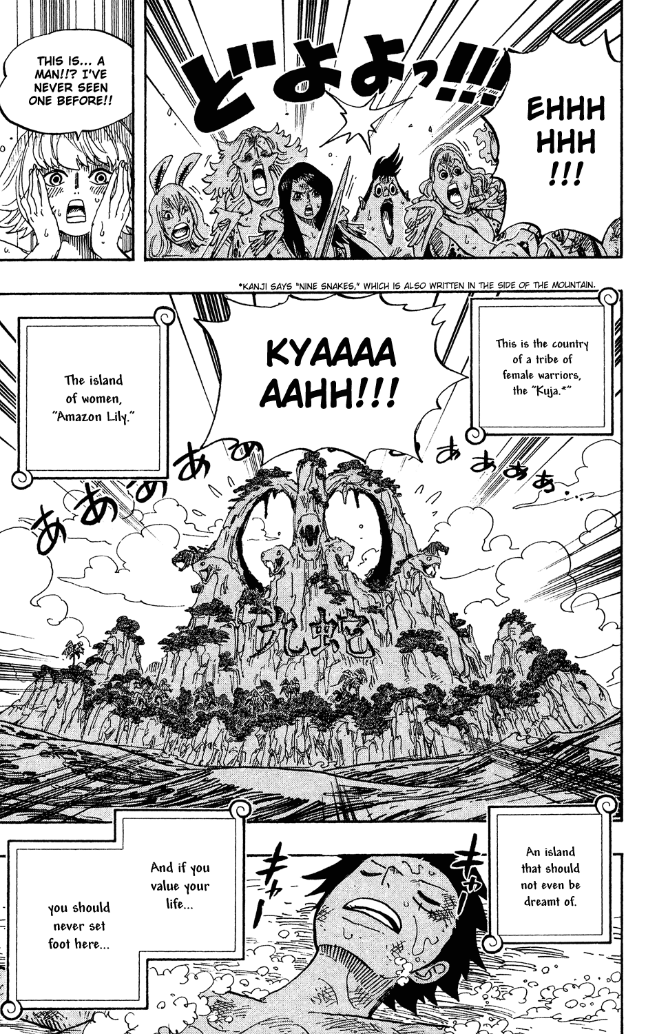 One Piece, Chapter 514 image 18
